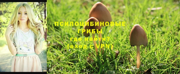 а пвп мука Зерноград