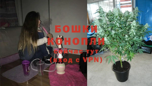 сатива Зеленодольск